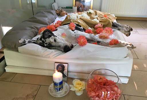 shanti_-reichenpfader