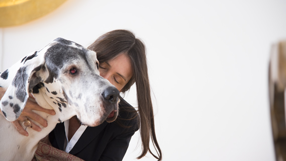 Trauerbegleitung reichenpfader Stadt Salzburg